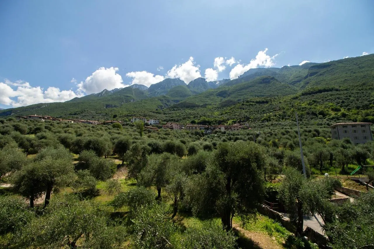 Apartment Villa Diana - Terrazza Sul Lago Assenza di Brenzone Italien
